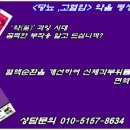 에이미143