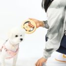 파미리더 이미지