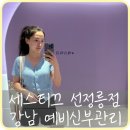 세스티끄 - 강남구 학동로 209 | [강남] 웨딩관리 VL-CHANGE (윤곽관리) 경락 후기 '세스티끄 선정릉점'