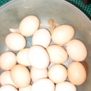 광일농장 이미지