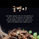 수신건재