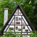 헨젤과 그레텔 이미지