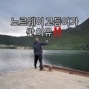 Norway 고등어 이미지