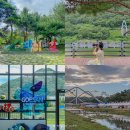 카페솔바위 | 괴산 가볼만한곳 고추축제, 아쿠아리움, 산막이옛길 등 여행 코스