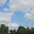 비비큐 시민공원점 | 마인츠 시민공원(Volkspark Mainz) 후기 아이들과 함께한 독일 가족 여행 경험담
