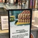 스타다방 이미지