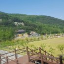 옥포식당 이미지