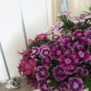 덕은한결약국 | 비염에 좋은 영양제 도장깨기 끝마쳤어요!