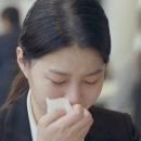 대현유화 이미지