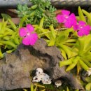 원트 청주 상당 이미지