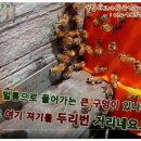 꿀벌아 고마워 공인중개사사무소 이미지