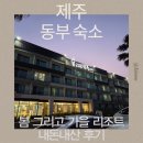 꽃보다당구장 | 제주도 성산 가성비 숙소 봄 그리고 가을 리조트 내돈내산 후기