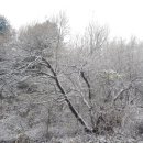 첫눈에평창 이미지