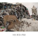 "한해 버려지는 옷, 330억 벌" 옷을 위한 지구는 없다 (KBS 환경스페셜) 이미지