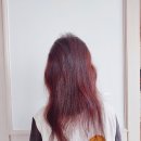 엘포 | 대용량트리트먼트 어니스트 퍼스트 엘포 트리트먼트 사용 후기