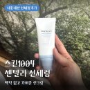 스킨1004 선세럼 내돈내산 후기 백탁없고 가벼운 선크림