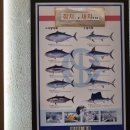 단골참치 이미지