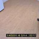 부동산중개법인월드부동산 | 신림부동산: 복코부동산중개법인 관악지점에서 원룸 찾기 후기