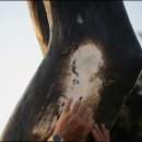 평화의 메세지 이미지