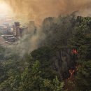 대구매천초등학교 이미지