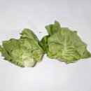 둥구머리협동조합 이미지