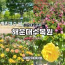 4호선 반여농산물시장역 | 부산 가족나들이 추천 해운대수목원 실시간 장미개화상황 솔직후기