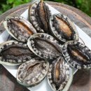 완도1호 | (전복 선물세트)완도1호 왕특대전복 2kg(1kg 6-7미) 선물포장 [원산지:국산(전라남도 완도군)] 솔직 후기