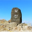 정상(대구)