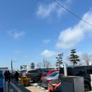 [화성 가볼만한곳] 궁평항 수산물직판장 쭈꾸미 내돈내산 후기🐙 4월제철음식 추천
