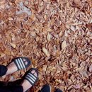 여산빌딩 앞 이미지