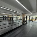 더 프리미엄 복싱 이미지