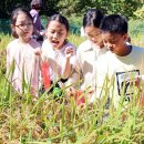 완주로컬푸드협동조합 | [전라북도 완주군] 완주 와일드&amp;로컬푸드축제