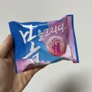 2022. 3월 일상털기