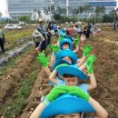 영근농장 이미지