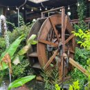 무주 농원 이미지