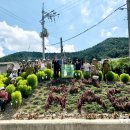 내외동행정복지센터 이미지