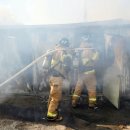 진화농장 이미지