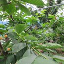 지희농장 이미지