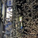 합기도 일산도장 | [ 주짓수 ] 이희성주짓수일산 / 일산 주짓수 추천 , 여자 주짓수 추천
