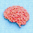 CW-2010-01 이미지