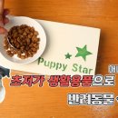 반려식탁 Daum카페