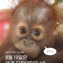 로즈무역 | 데이트 남자친구형님한테 까르띠에 선물받은 후기(다무르 xs 로즈골드 연장, 현대무역센터점 까르띠에)