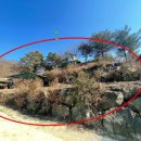 중앙로 77 이미지