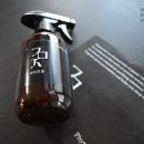 불개미 | 날개 달린 개미 날개미 불개미 싹 퇴치 해본 후기