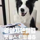 별덴탈 | 강아지덴탈껌 추천 저알러지에 치석관리까지 되는 펫퍼스 트윙클츄 후기