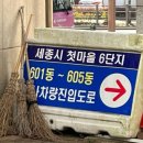 샐리앤샌디