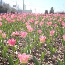 낙동강관리본부 화명생태공원 5 이미지