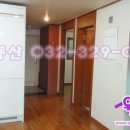 신일아르디세 이미지