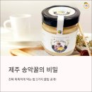 송악농장 | 제주 토종 송악꿀, 진짜 똑똑하게 먹는 법? 아이비타허니연구소 탐방하면서 찾은 꿀팁 3가지!