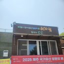 천년숲 | 제주 천년의 숲 산책하기 좋은 비자림 후기